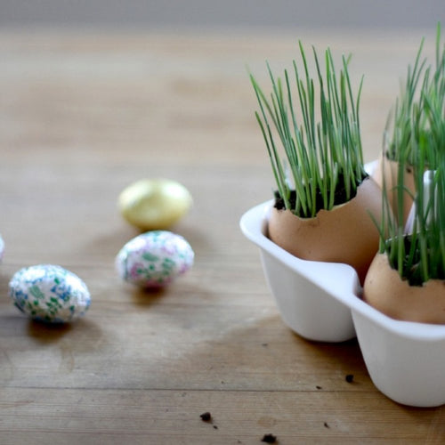 Fun Ways to Introduce the Easter Season - Saranoni