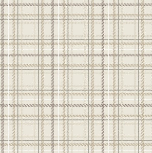 Plaid Minky Stretch Print. 