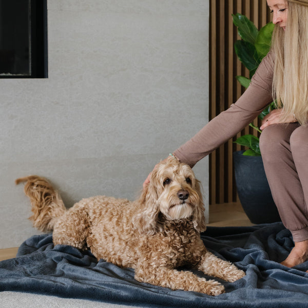 PET BLANKET